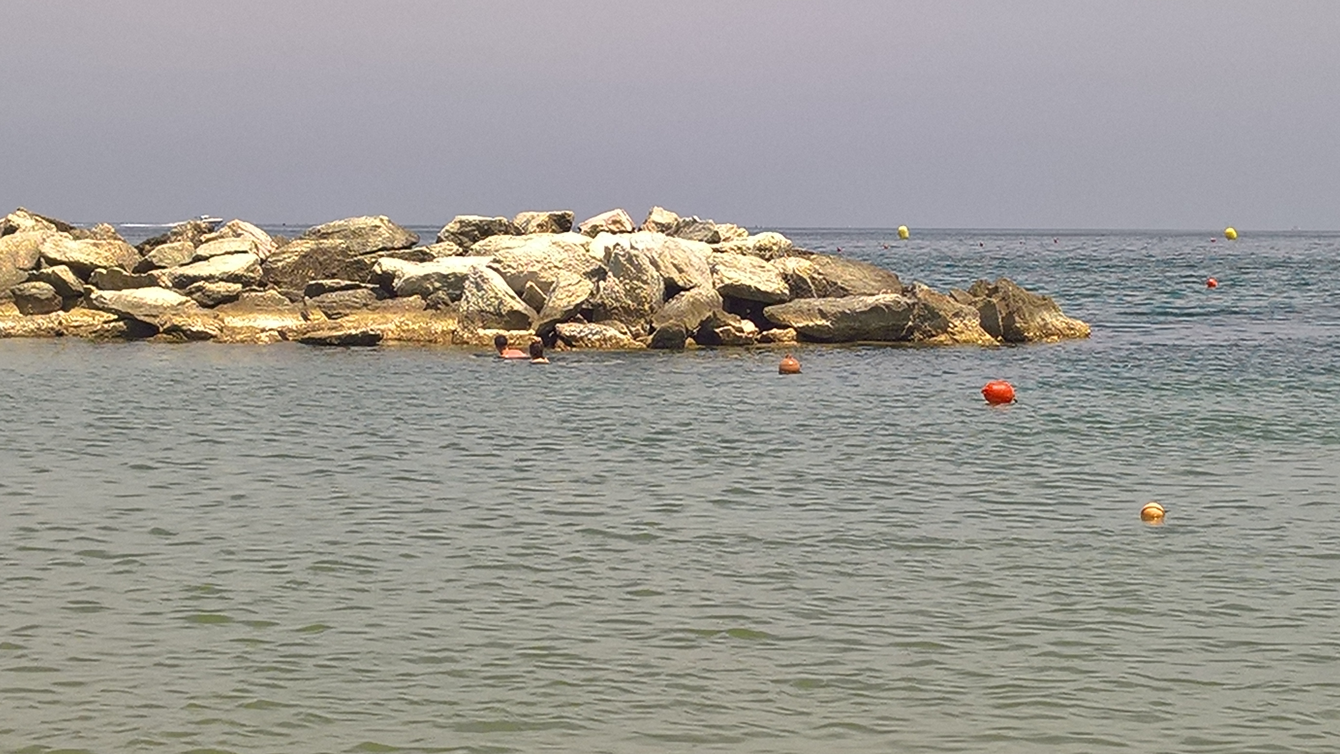 WP 20170616 12 31 44 Rich